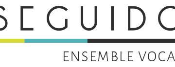 Logo Seguido